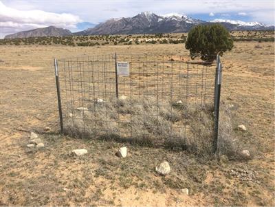 Native lagomorphs facilitate noxious weeds in a semi-arid rangeland